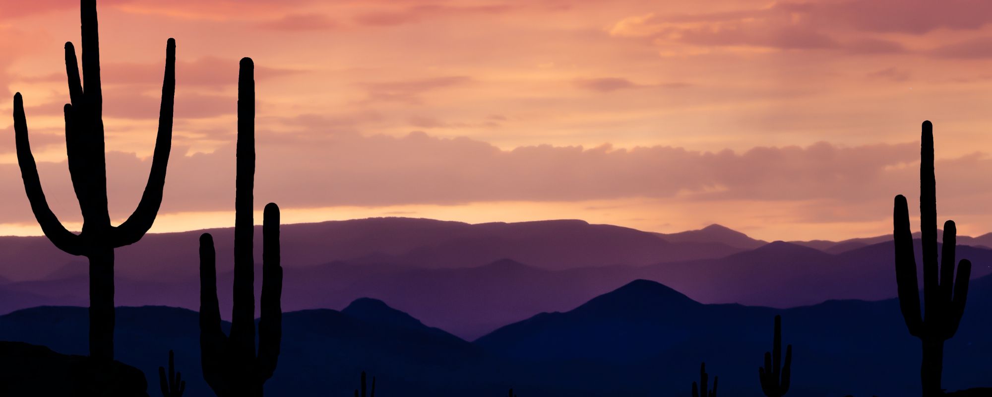 Where Can I Heal from Drug Addiction in Arizona? 